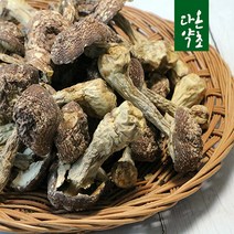 다온약초 국산 아가리쿠스버섯, 1개, 500g
