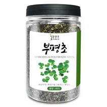 부평초(국산) 40g(통) 건조 부평초 개구리밥 한방 차, 부평초[국산] 40g[통]