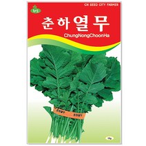 강낭콩 씨앗 20g / 채소씨앗 강낭콩씨 콩씨 콩씨앗, 13_춘하열무(15g)