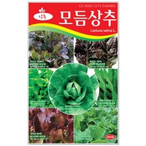 청농종묘 루꼴라 시금치 씨앗 3000립 로켓샐러드 루꼴라씨앗, 07_모듬상추(3000립)