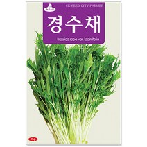청농종묘 강화 순무 씨앗 2000립 채소씨앗 무씨앗 무씨, 25_경수채(15g)