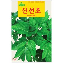 청농종묘 냉이 씨앗 5000립 냉이씨 봄나물 달래 나물 씨, 21_신선초(100립 )