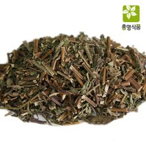 총명식품 박하, 300g, 1개