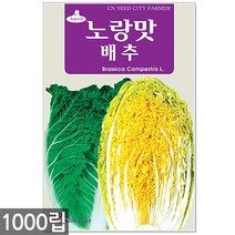 청농종묘 흰색 찰옥수수 씨앗 70립 옥수수씨앗 옥수수씨 씨 찰옥수수씨앗, 12_노랑맛배추(1000립)