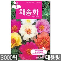 청농종묘 코스모스 씨앗 500립 코스모스씨앗 코스모스씨 꽃씨앗 꽃 꽃씨 씨 야생화씨앗 야생화 야생꽃씨, 14_대용량_채송화(3000립)