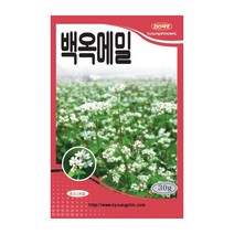 경신종묘 메밀씨앗 백옥메밀 30g