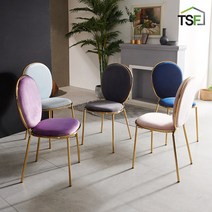 TS 마카롱 골드1+1인테리어의자 식탁의자, 퍼플:그레이