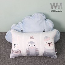 와이즈마마 풍기인견 편백메밀 유아베개, 스노우데이 편백 인견베개