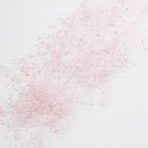 캔들바다 프리저브드플라워 - 핑크안개, [ 핑크안개 ]