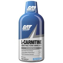 절맨아메리칸테크놀로지스 L-카르니틴 에센셜 블루 라즈베리, 473ml, 1개