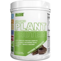 Evlution Nutrition 스택드 플랜트 프로틴, 내추럴 초콜릿(Natural Chocolate), 680g, 1개
