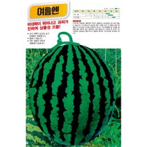 아시아종묘 수박씨앗종자 여름엔수박 (200립)