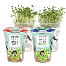틔움세상 한컵새싹농장 무순 + 브로콜리 키우기 세트