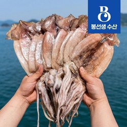 동해 반건조 오징어 피데기 특대 10미 파지 파품 1kg, 1개, 파지(8-15미내외) 1kg