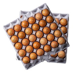 품질보증 맥반석 구운계란 대란