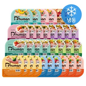 [로켓프레시] 듀먼 전연령 강아지 10종 버라이어티 화식사료 50g x 32개입 세트 (냉동)