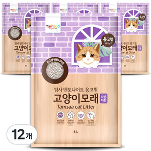 탐사 벤토나이트 응고형 고양이 모래