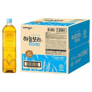영양제 추천 상품