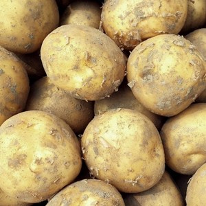 국내산 수미 감자 햇감자