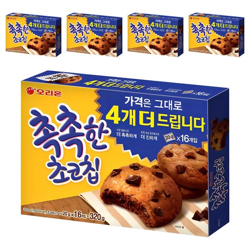 촉촉한초코칩
