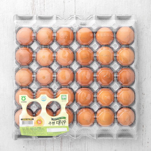 로켓배송