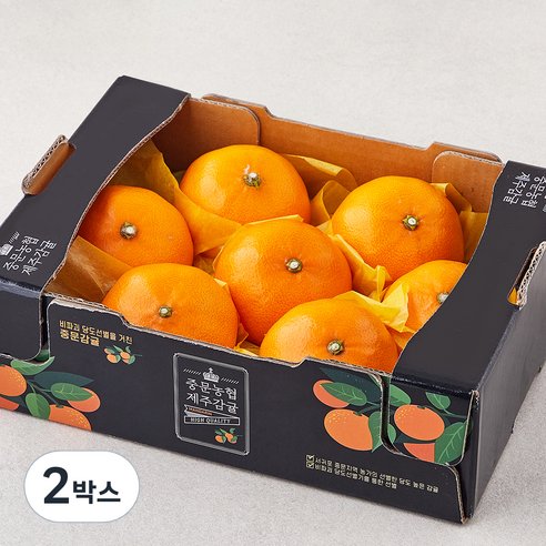 [로켓프레시] 중문농협 당도선별 황제 천혜향