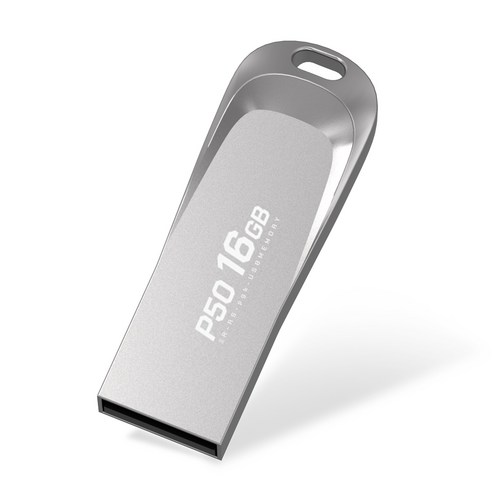 PLEIGO USB 메모리 P50