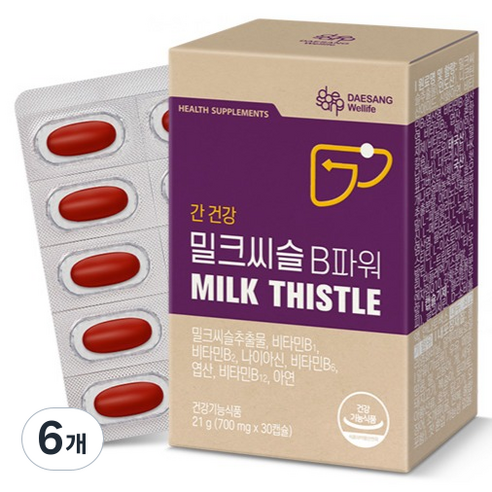 대상웰라이프 밀크씨슬 B파워 21g
