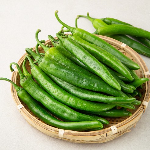 국내산 오이맛 고추