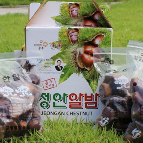 공주 정안 햇 밤 생밤 대특