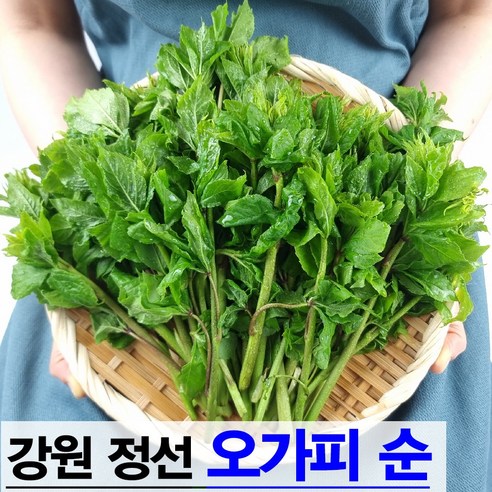 햇살농원 강원 정선 오가피순 가시오가피순 나물 오갈피순 오갈피나물 오가피잎, 1박스, 1kg