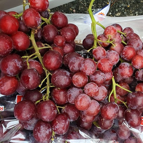 레드크림슨 포도 고당도 프리미엄 적포도, 1개, 4kg
