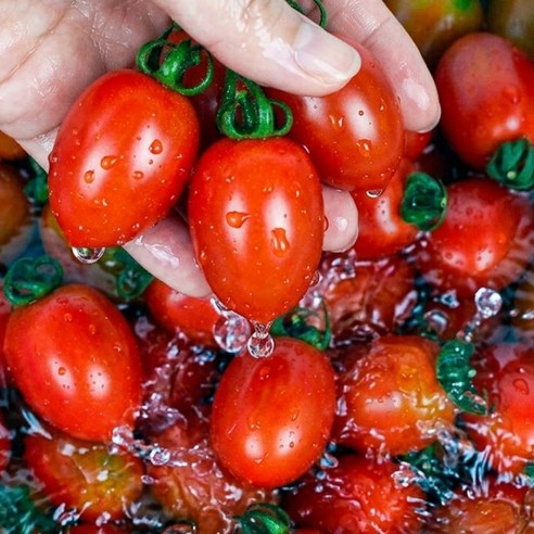 산지직송 친구가보낸과일 대추방울토마토, 1개, 2kg