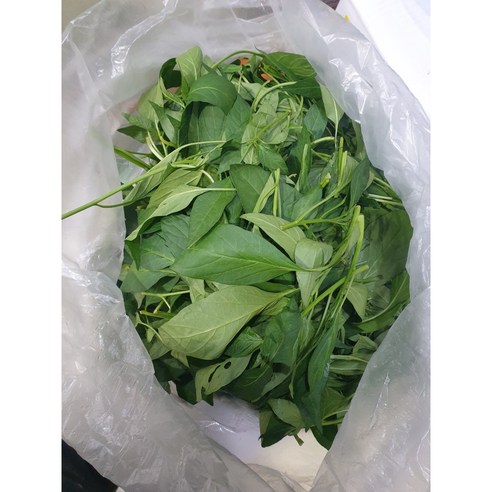 [부드러운] 고추잎나물 1kg 생고추잎