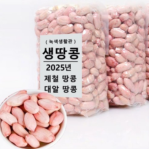 2025년 산생땅콩수입생땅콩   대알 땅콩[녹색생활관]
