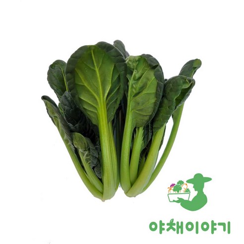 야채이야기 싱싱한 그린 비타민 채소 특수 야채 1kg 다채