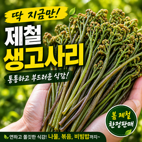 [은채담] 국산고사리 생고사리 햇고사리 봄나물고사리, 1박스, 2kg