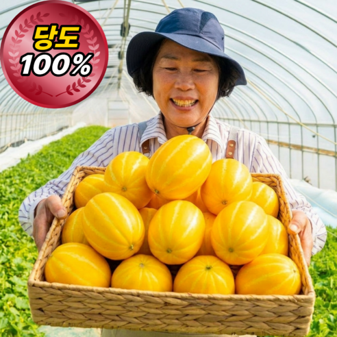 [당도100%보장] 참들농원 성주 꿀참외 산지직송 새벽수확 고당도 참외 소과 중과 대과, 1박스, 중과 5kg