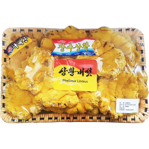 동의한약나라 상황버섯 국산 바구니
