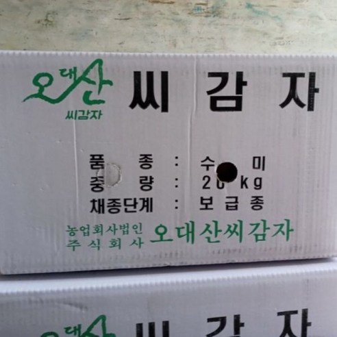 품 맛있는 씨감자 분나는 두백 4kg 24년 강원 고냉지