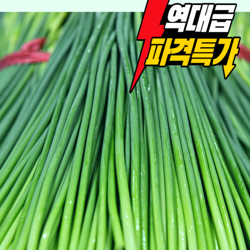 [제철미식] 산지직송 싱싱하고 아삭한 국산 햇 마늘쫑 특품