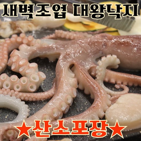 [산소포장] 국산 생물 산낙지 낙지 특대사이즈