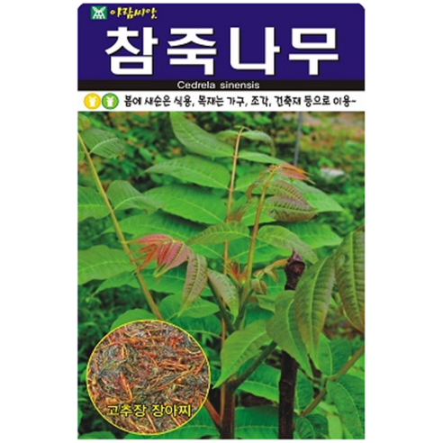 참죽나무 500립>>봄에 새순은 식용, 목재는 가구, 조각, 건축재 등으로 이용, 1개