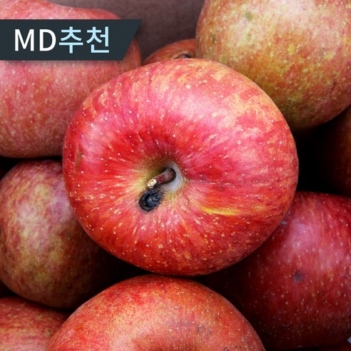 [한정특가] 맛있는 경북 사과 산지직송 못난이 주스용 부사사과, 1박스, 10kg