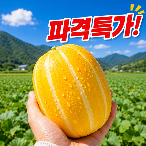 [마지막초특가세일] 당도선별 산지직송 재구매율1위 성주참외