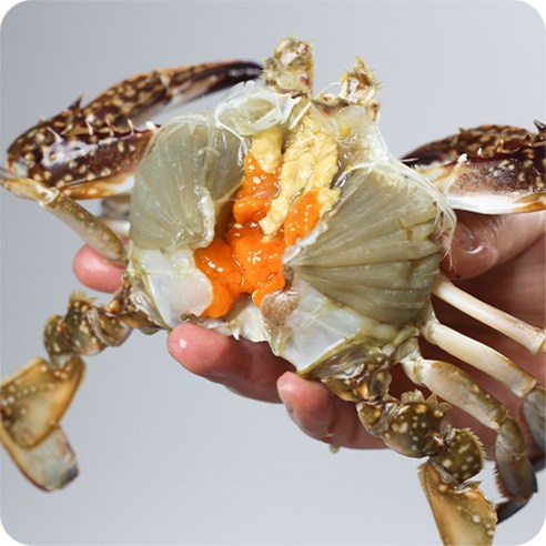 연안 제철 꽃게 봄 알배기 암꽃게 활꽃게 햇꽃게, 1박스, 3kg 활 소 암꽃게(9-12미내외)