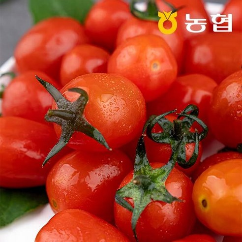[자연맛남] 농협선별 부여 대추방울토마토 2kg (1-3번) 굿뜨래
