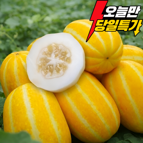 [산지직송] 성주참외 재구매1위 제철과일 꿀뚝뚝 당도보장