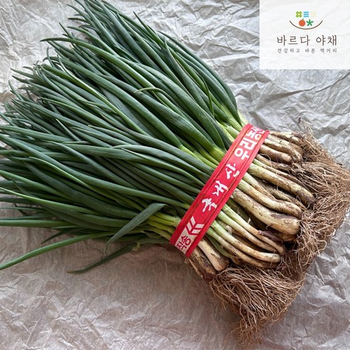 바르다야채 자연에서 온 국내산 흙쪽파 (950~980g)
