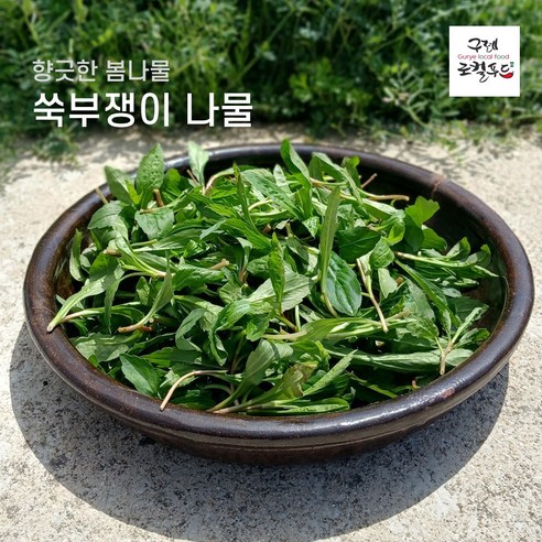 지리산 구례 햇 생 쑥부쟁이 부지깽이 봄나물 부지갱이 산지직송